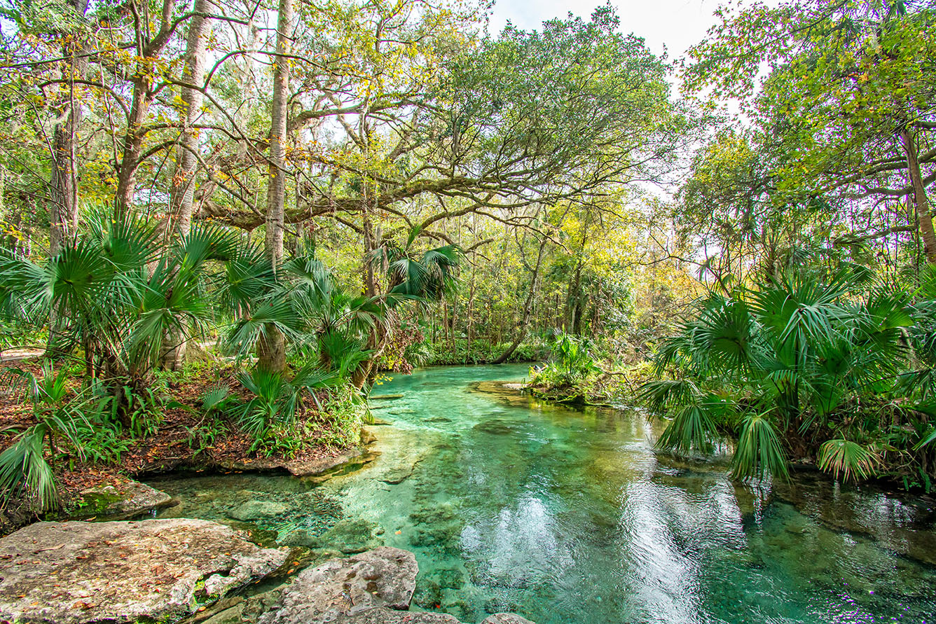À la Découverte du Parc National de Blue Spring en Floride : Un Écrin de Nature